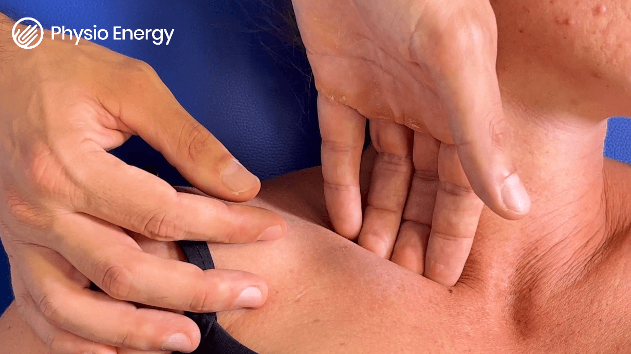 soft tissue subclavius opt